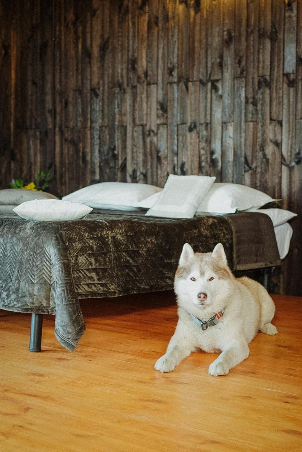 Долина ХЮГГЕ Hotel Черноморск Екстериор снимка